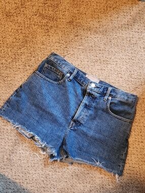 Everlane Medium Blue Denim Cutoff Shorts